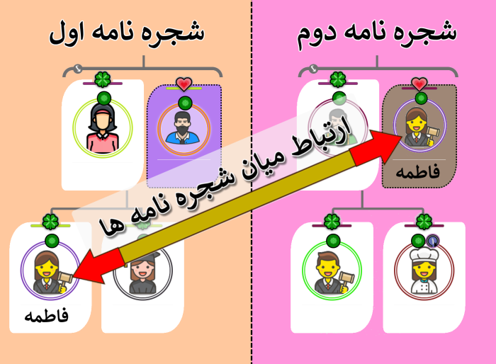 ارتباط میان شجره نامه ها